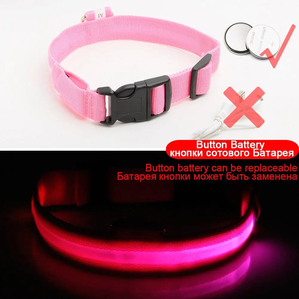 Led Dog Collar Anti-Lost Collar Image 1