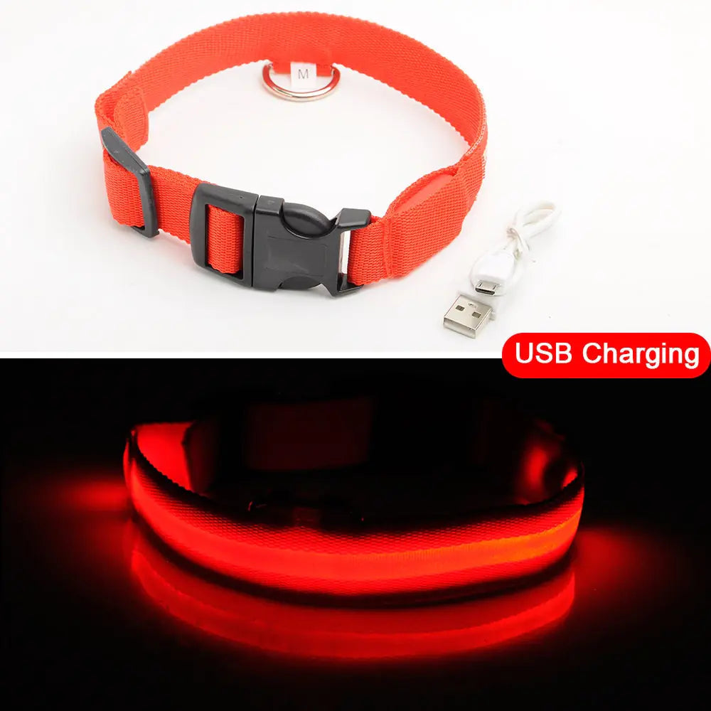 Led Dog Collar Anti-Lost Collar Image 10