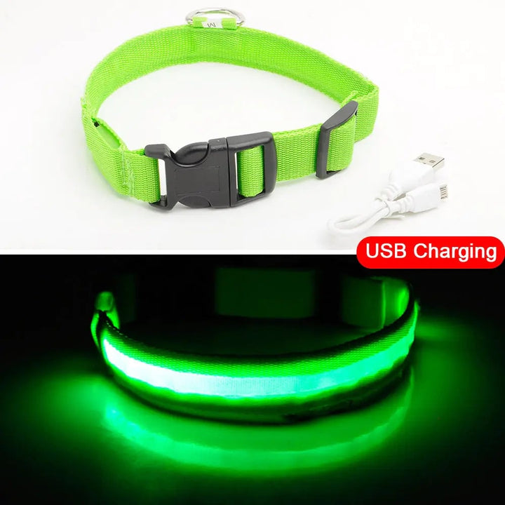 Led Dog Collar Anti-Lost Collar Image 1