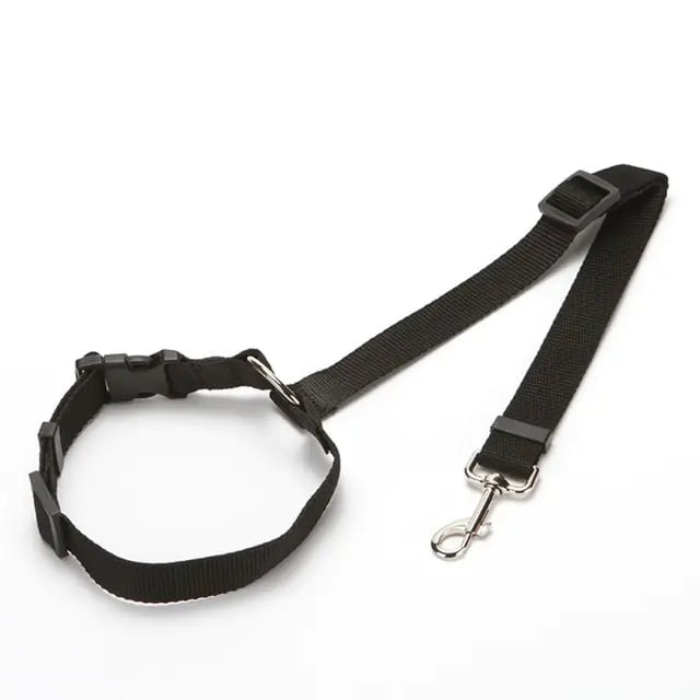 Nylon Dog Seatbelts Image 2