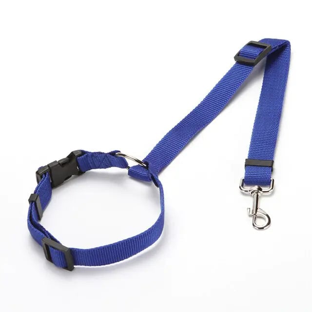 Nylon Dog Seatbelts Image 8