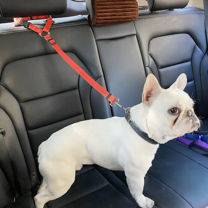 Nylon Dog Seatbelts Image 11