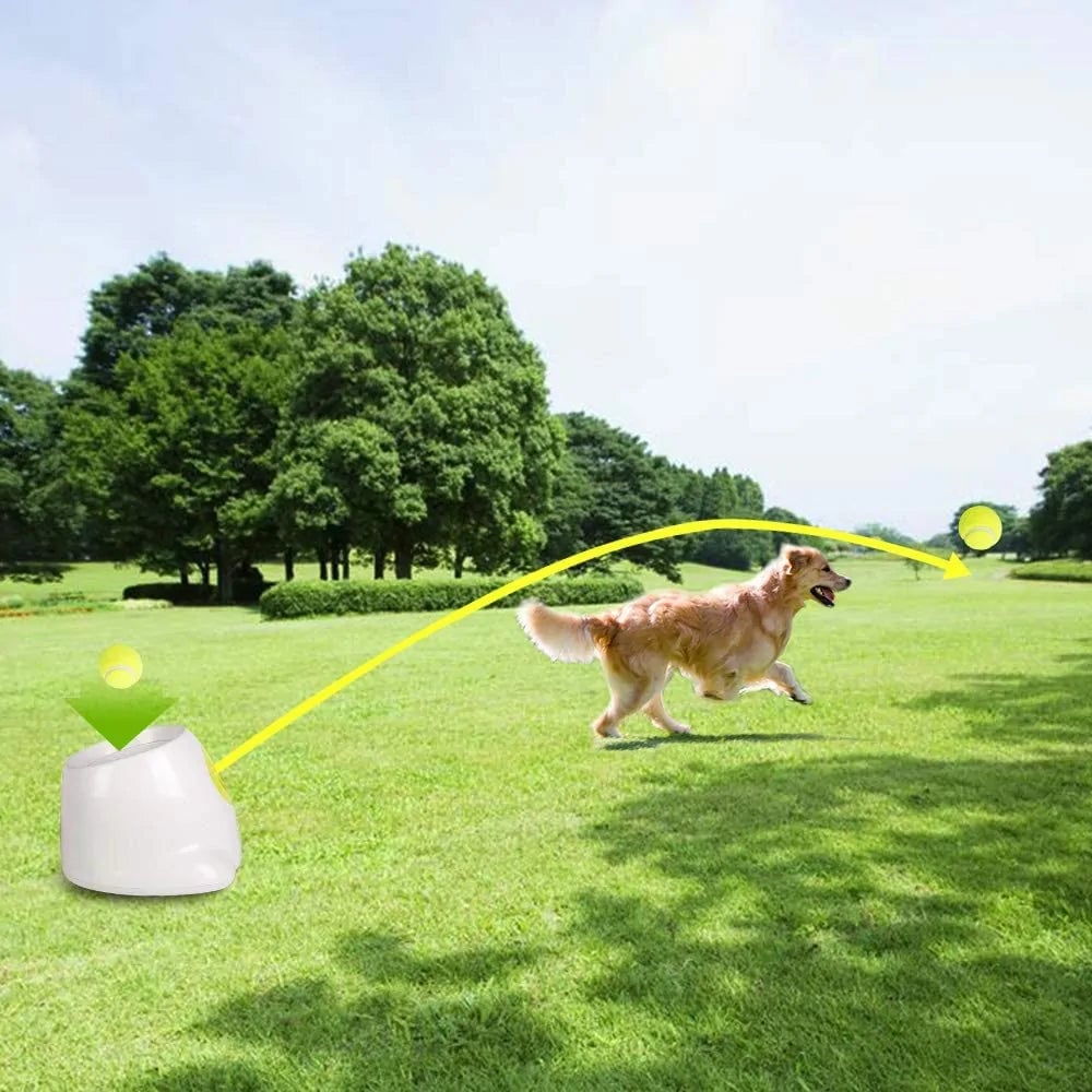 Hyper Fetch Automatic Ball Launcher Image 4