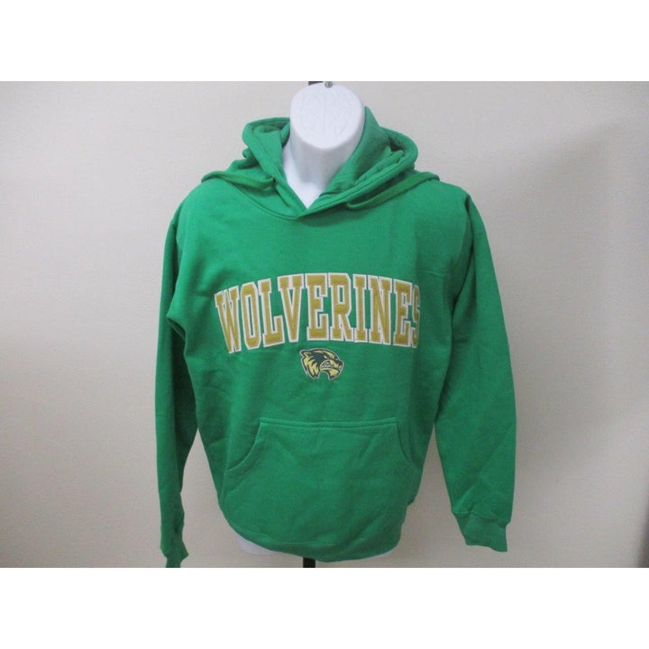 Michigan Wolverines Unisex Adult Mens Sizes S Small Green Hoodie Image 1