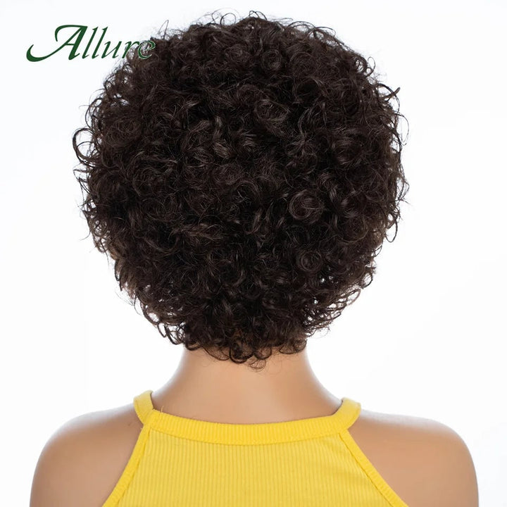 Short Pixie Afro Kinky Curly Wigs for Black Women Glueless Natural Brown Bob Wig With Bangs Jerry Curly Human Hair Wigs Image 4