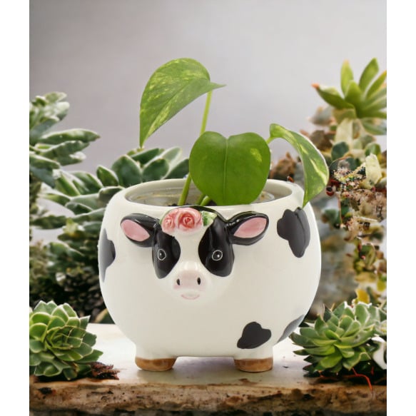 Ceramic Cow Candy Bowl Indoor Planter 5x4 Image 2