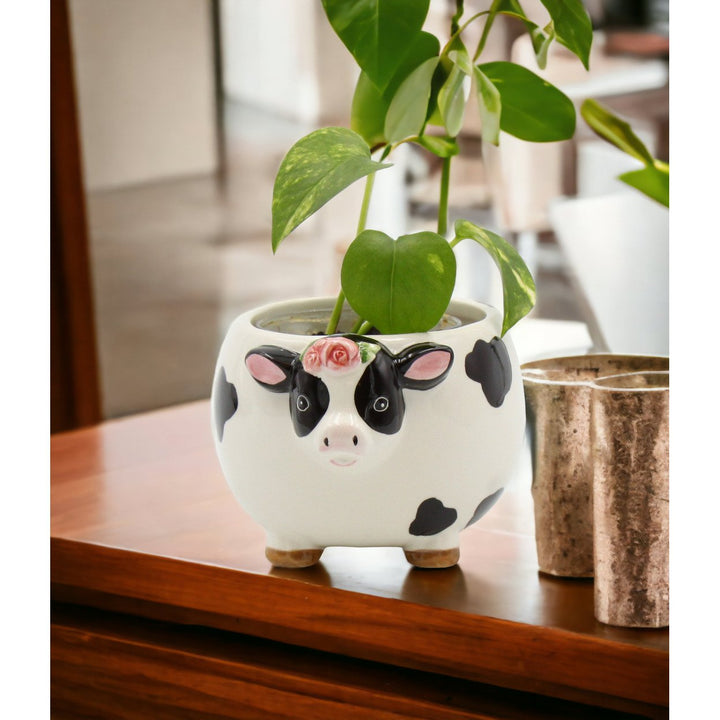 Ceramic Cow Candy Bowl Indoor Planter 5x4 Image 3