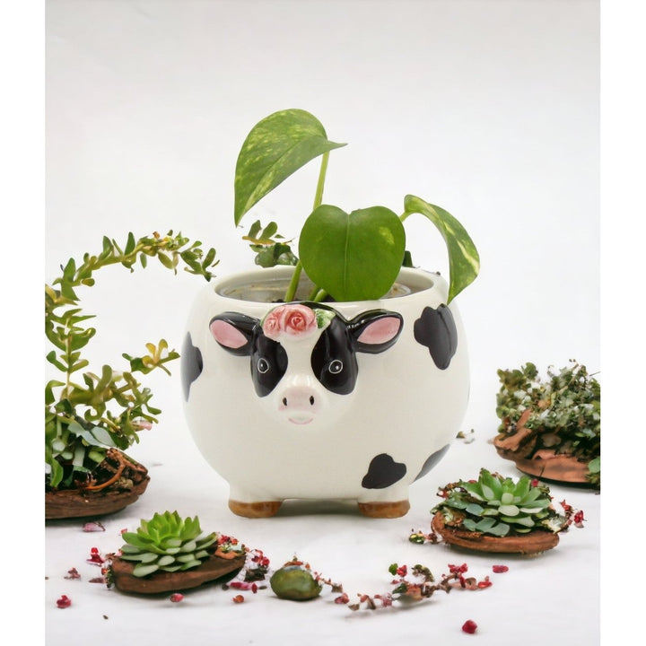 Ceramic Cow Candy Bowl Indoor Planter 5x4 Image 4