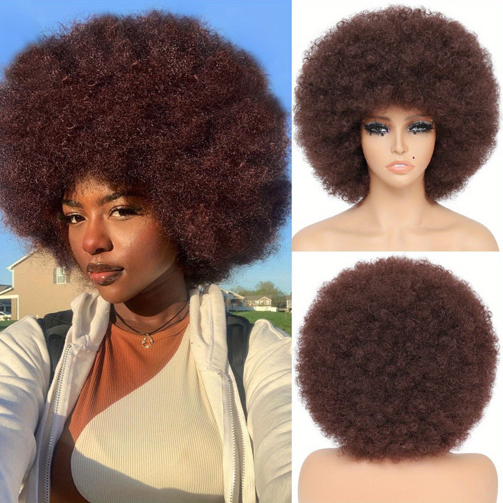 10 Inch Afro Kinky Curly Wigs 70s 80s Wigs Large Bouncy And Soft Natural Looking Full Puff Wigs For Party Cosplay Daily Image 4