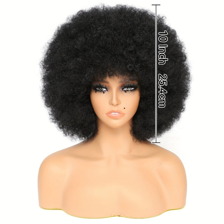 10 Inch Afro Kinky Curly Wigs 70s 80s Wigs Large Bouncy And Soft Natural Looking Full Puff Wigs For Party Cosplay Daily Image 12