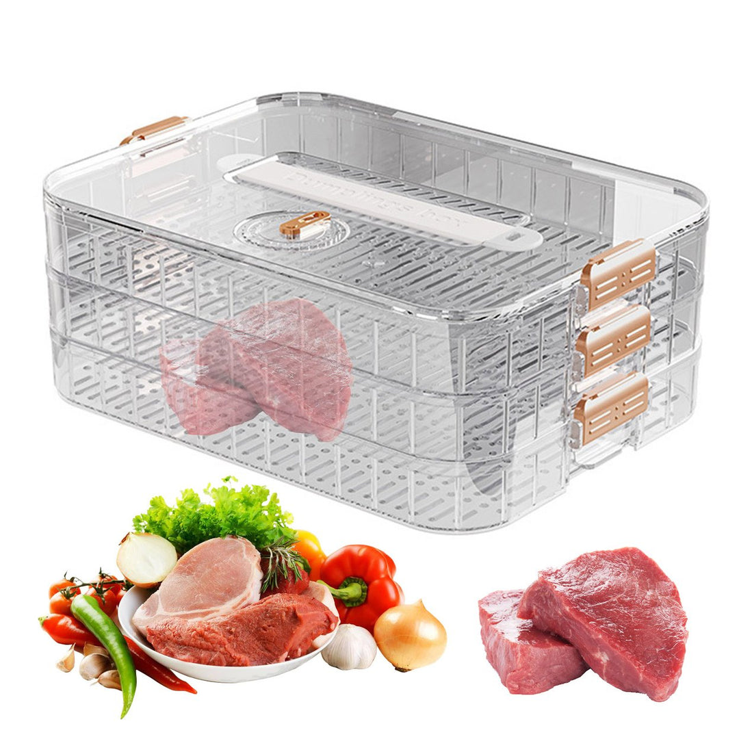 Dumpling Container Refrigerator Storage Box with Transparent Lid Large Capacity Non-Stick Design BPA Free Detachable Image 1