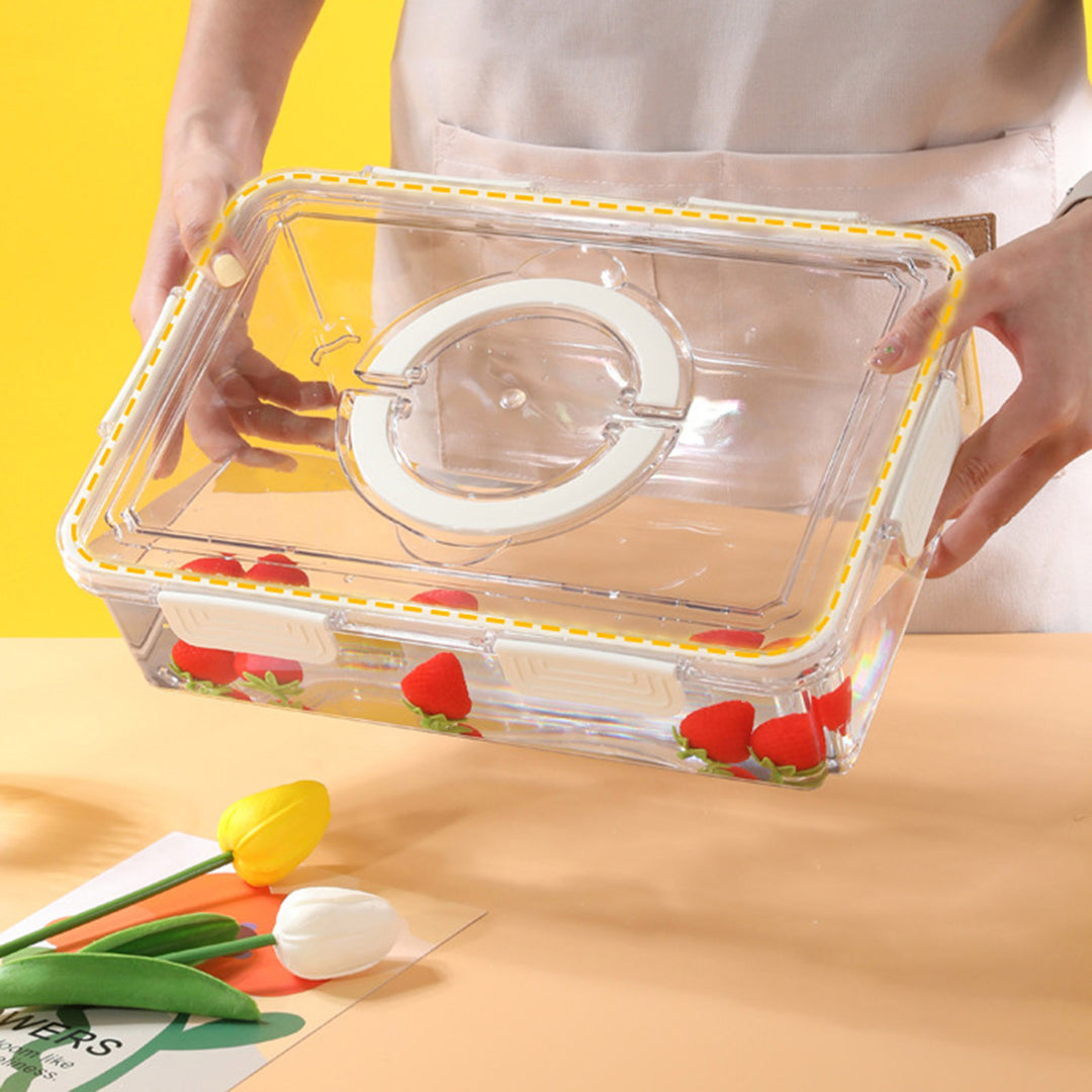 Fruit Storage Container with Handle Large Capacity Food Grade BPA Free Sealing Strips Design Leakproof Transparent Food Image 11