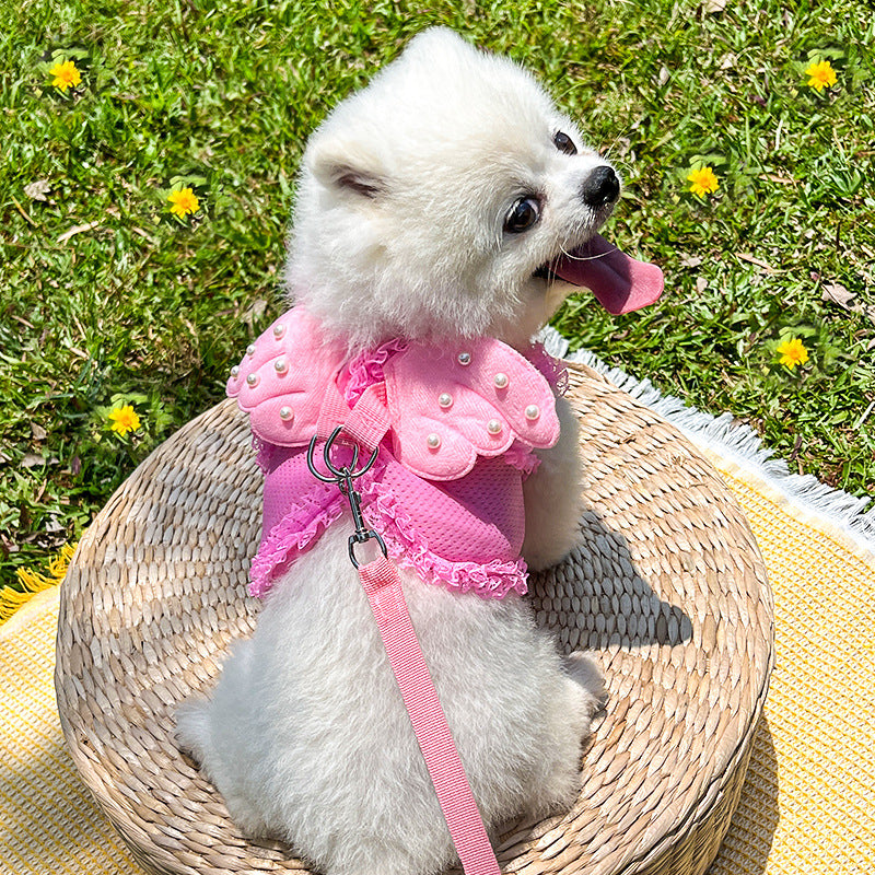 Cute Angel Wings Dog Harness Breathable Mesh Leash Set Small Dog Puppy Spring Summer Image 1