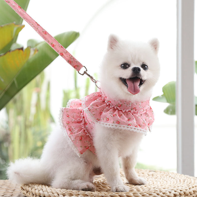 Cute Angel Wings Dog Harness Breathable Mesh Leash Set Small Dog Puppy Spring Summer Image 3