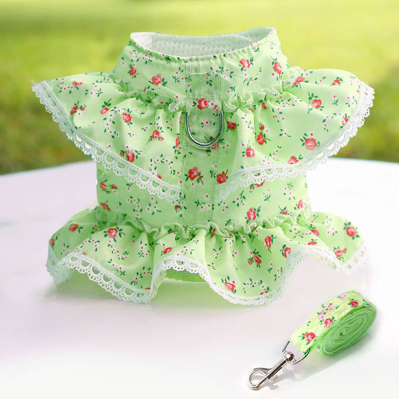 Cute Angel Wings Dog Harness Breathable Mesh Leash Set Small Dog Puppy Spring Summer Image 4