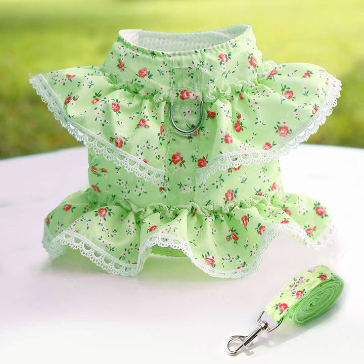 Cute Angel Wings Dog Harness Breathable Mesh Leash Set Small Dog Puppy Spring Summer Image 1