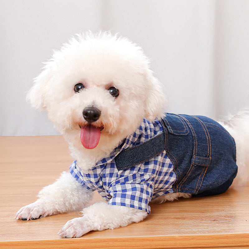 Jean Dog Hoodies Striped Plaid Small Medium Dogs Cats Casual Clothing Outfits Image 4