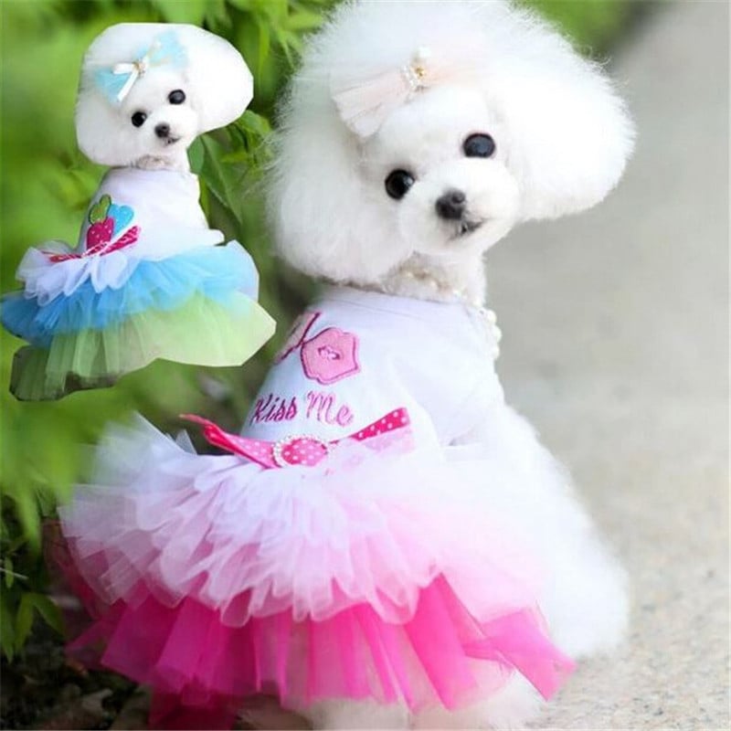 Cute Lace Dog Summer Dress Pink Blue Cotton XS to 2XL Chihuahua Cat Apparel Image 2