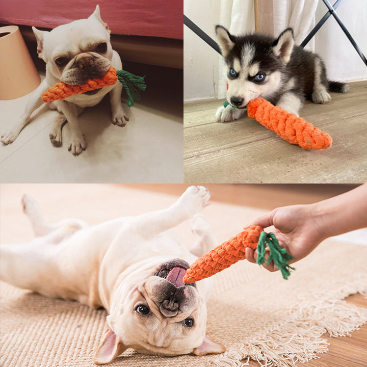 Durable Cotton Rope Dog Chew Toy Cartoon Animal Molar Cleaning Puppy Toy 22cm Image 3