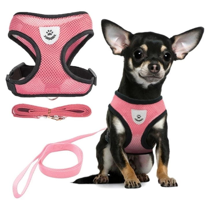 Adjustable Dog Cat Harness Vest Leash Reflective Soft Mesh for Small Medium Pets Image 2