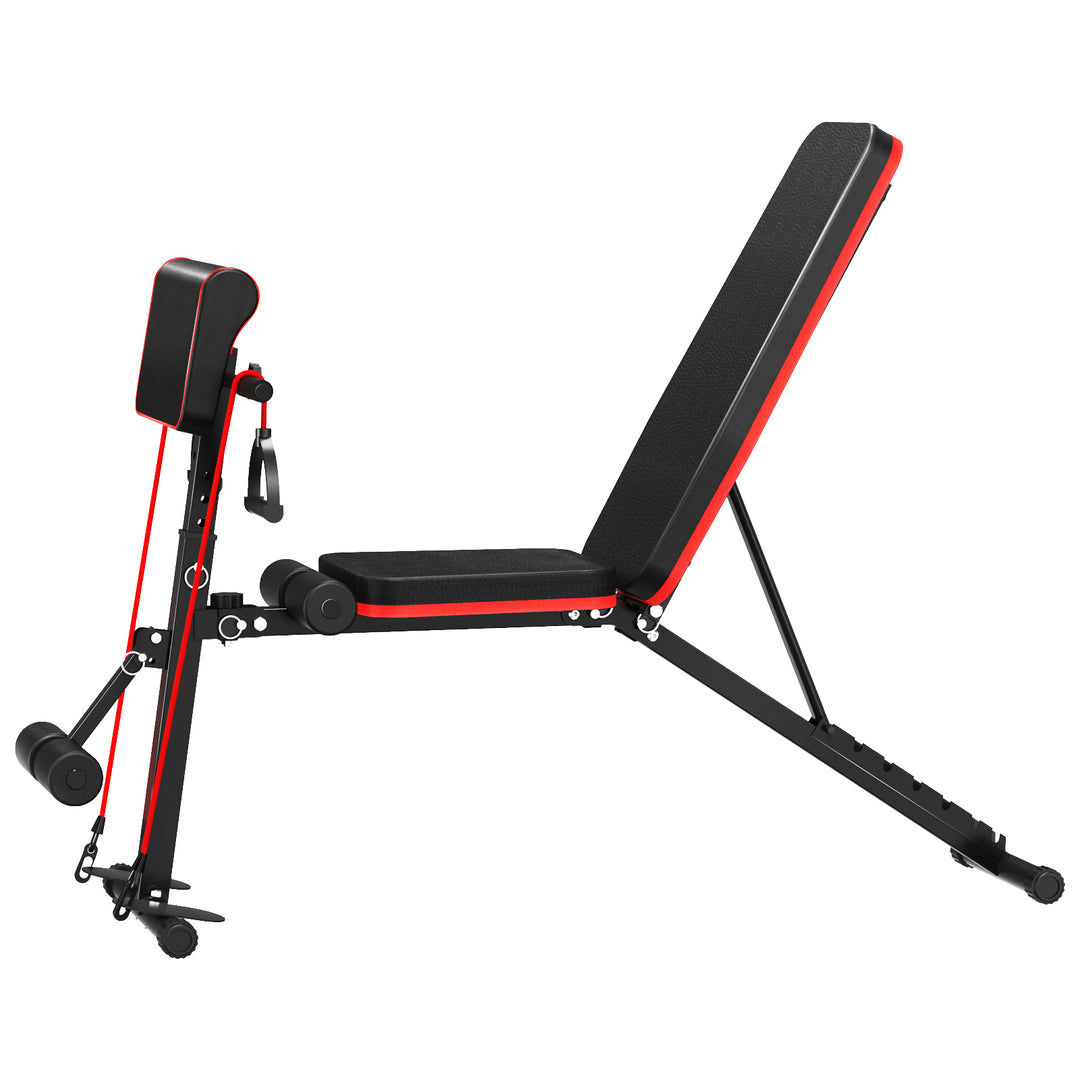 Multi Gears Adjustment Weight Bench Workout Bench for Home Gym Foldable Incline Decline Flat Exercise Bench for Full Image 4