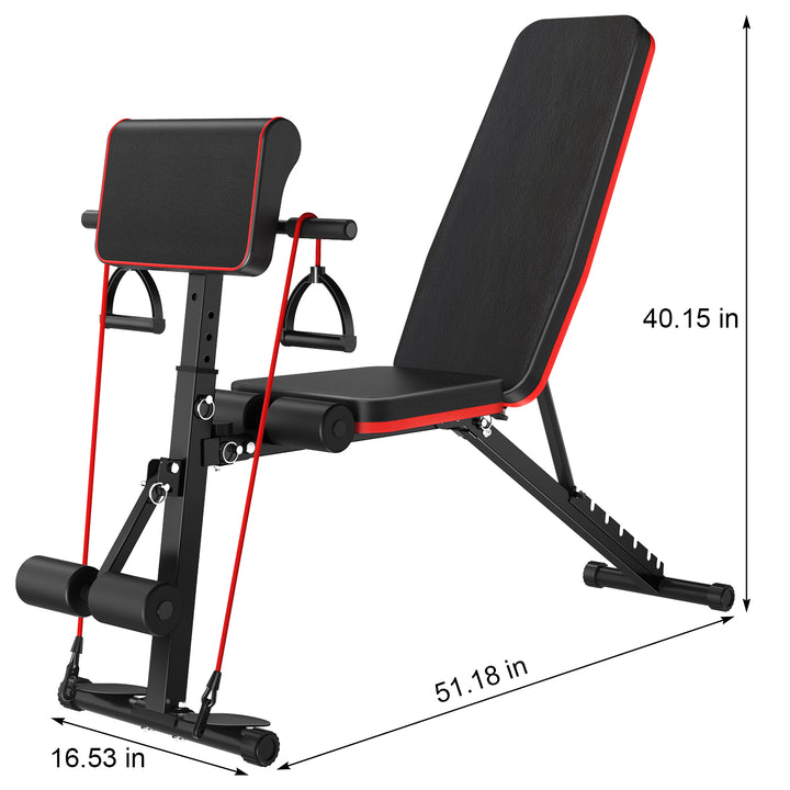 Multi Gears Adjustment Weight Bench Workout Bench for Home Gym Foldable Incline Decline Flat Exercise Bench for Full Image 6