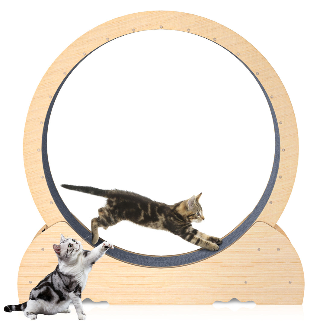 46 inch Large Cat Treadmill Cat Exerciser Indoor Cats Exercise Wheel with Carpeted Runway Cat Running Wheels Weight Loss Image 3