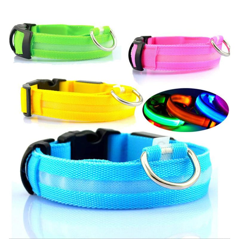 The LED Dog Collar Image 4