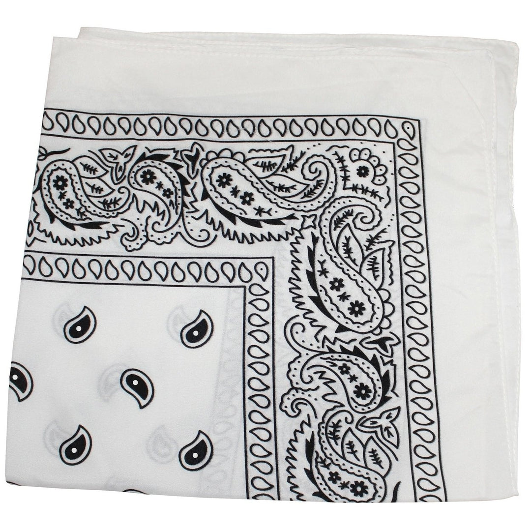 6 Pack 22 Inch Polyester Paisley Bandanas Lightweight Durable Multi-Use Accessories Image 1