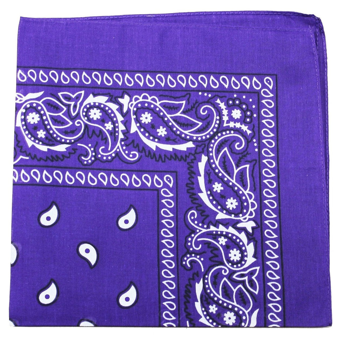 6 Pack 22 Inch Polyester Paisley Bandanas Lightweight Durable Multi-Use Accessories Image 8