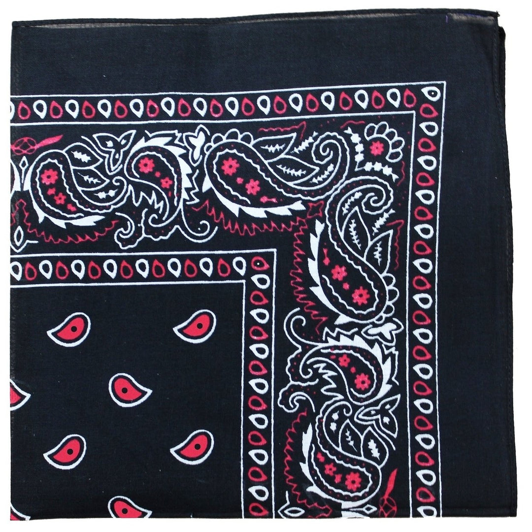 6 Pack 22 Inch Polyester Paisley Bandanas Lightweight Durable Multi-Use Accessories Image 12