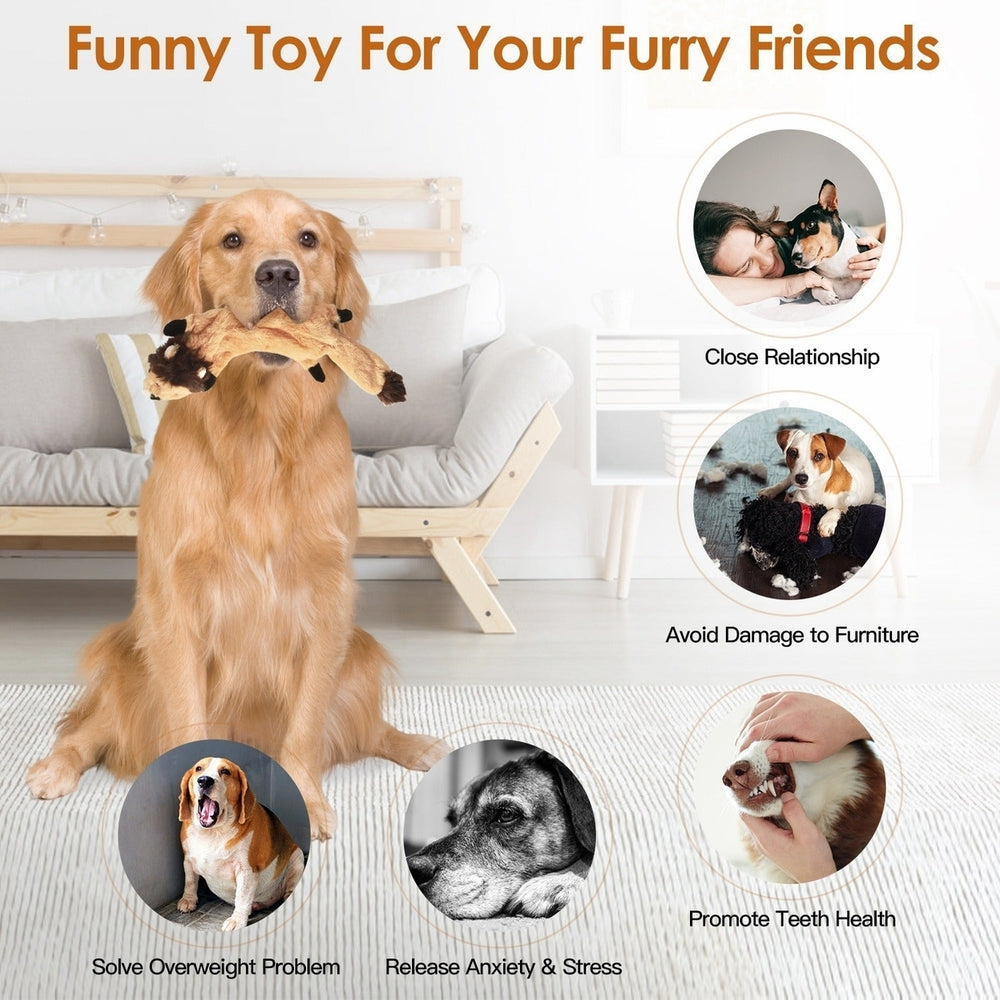 5Pcs Multi-Color Squeaky No Stuffing Dog Toys with Squeaky Balls Dog Teething Training Interactive Dog Toys for Image 2