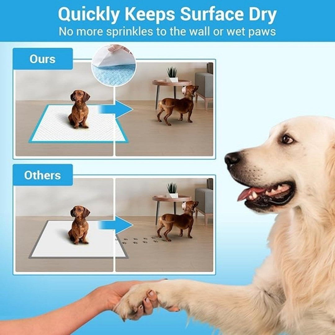 Dog Mat Puppy Mat 24 Inches X 18 Inches for Pet Training Thickened Pee Mat for Dogs Super Absorbent Dog Pee Mat (50 Image 6