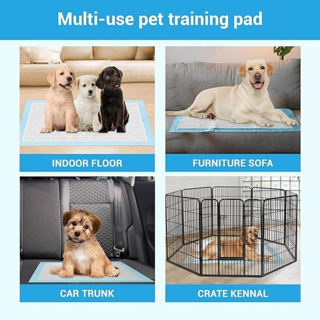 Dog Mat Puppy Mat 24 Inches X 18 Inches for Pet Training Thickened Pee Mat for Dogs Super Absorbent Dog Pee Mat (50 Image 7