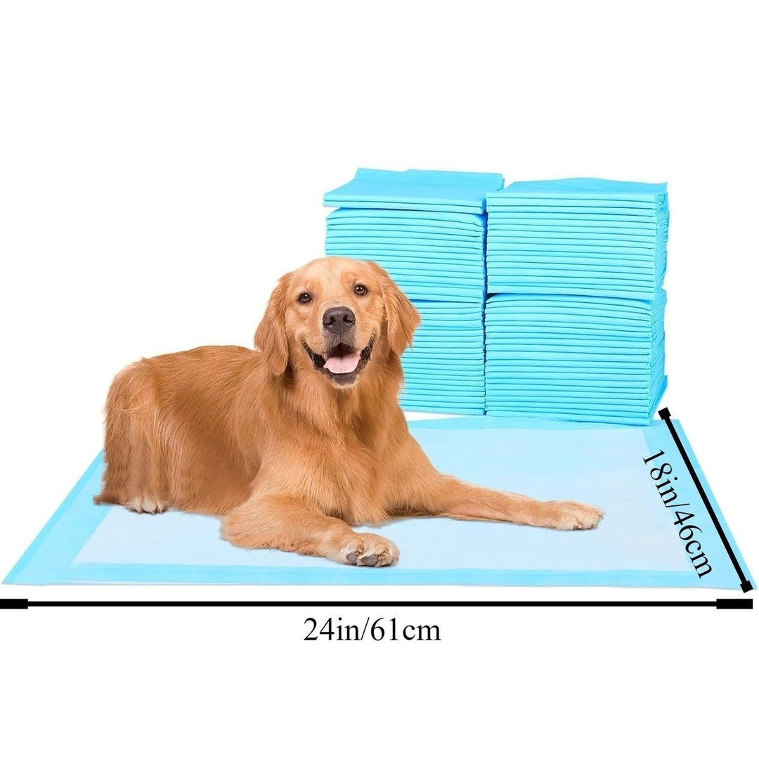 Dog Mat Puppy Mat 24 Inches X 18 Inches for Pet Training Thickened Pee Mat for Dogs Super Absorbent Dog Pee Mat (50 Image 9