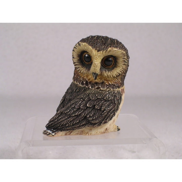 Harmony Kingdom Ball Pot Bellys / Belly Saw-Whet Owl - PBZOW - In Box Image 1