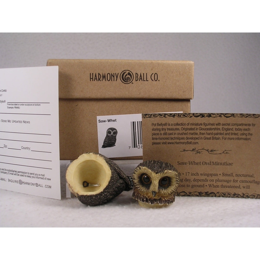 Harmony Kingdom Ball Pot Bellys / Belly Saw-Whet Owl - PBZOW - In Box Image 3