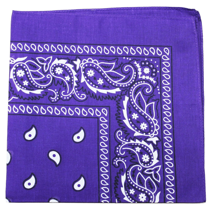 Pack of 18 XL Oversized 27 Inches Cotton Paisley Bandanas Image 8