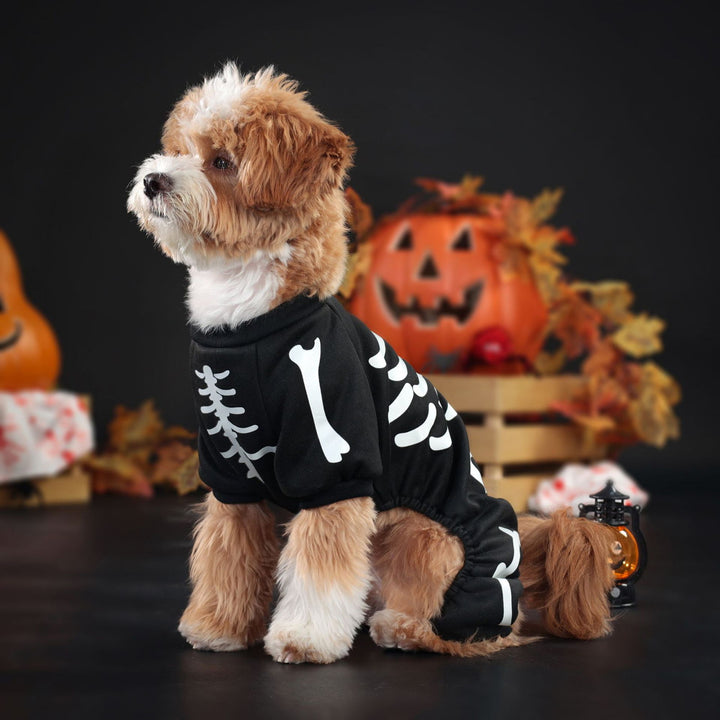 Skeleton Luminous Pet Costume Jumpsuit for Small Medium Dogs Funny Halloween Clothes Apparel Puppy Outfit Cosplay Prop Image 10