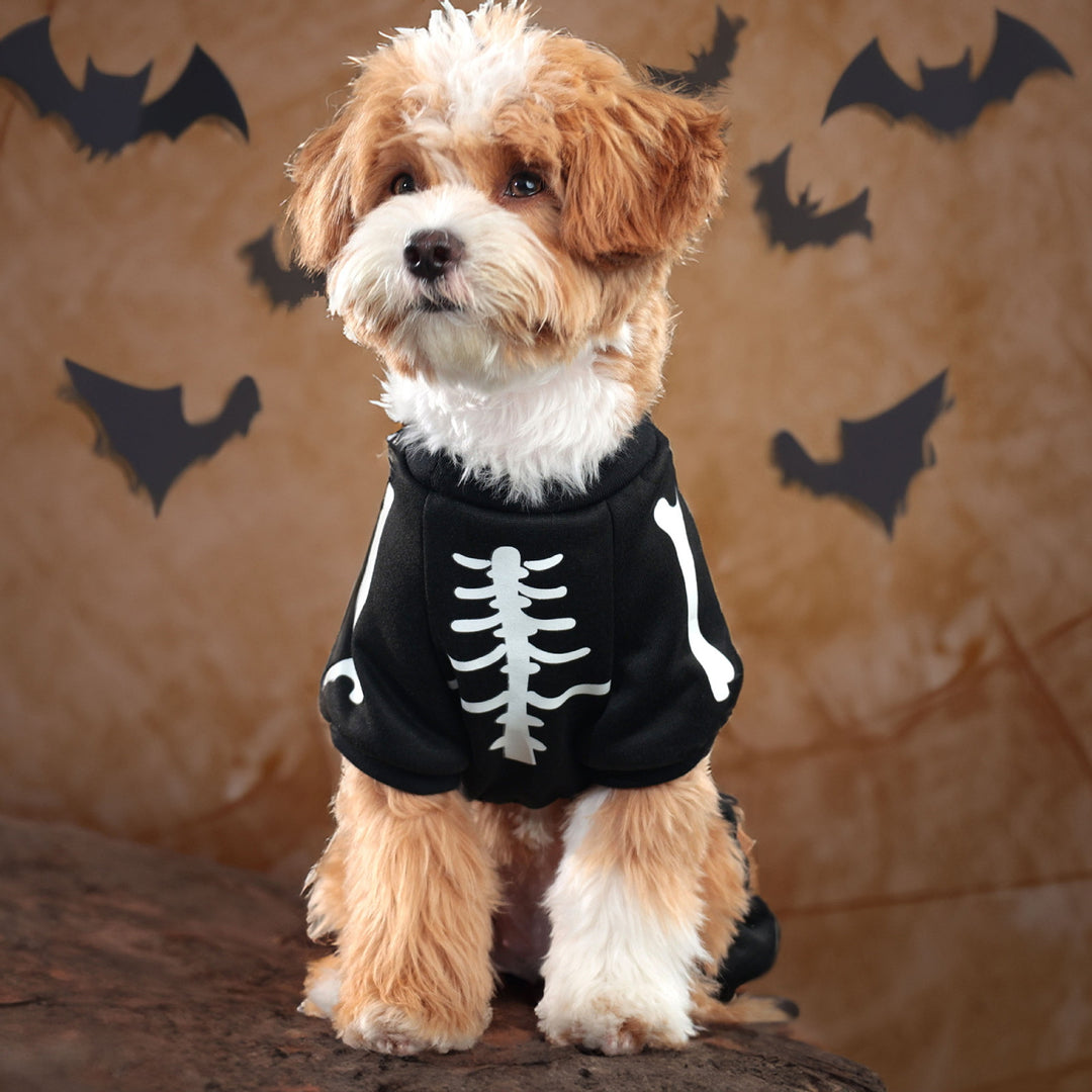 Skeleton Luminous Pet Costume Jumpsuit for Small Medium Dogs Funny Halloween Clothes Apparel Puppy Outfit Cosplay Prop Image 11