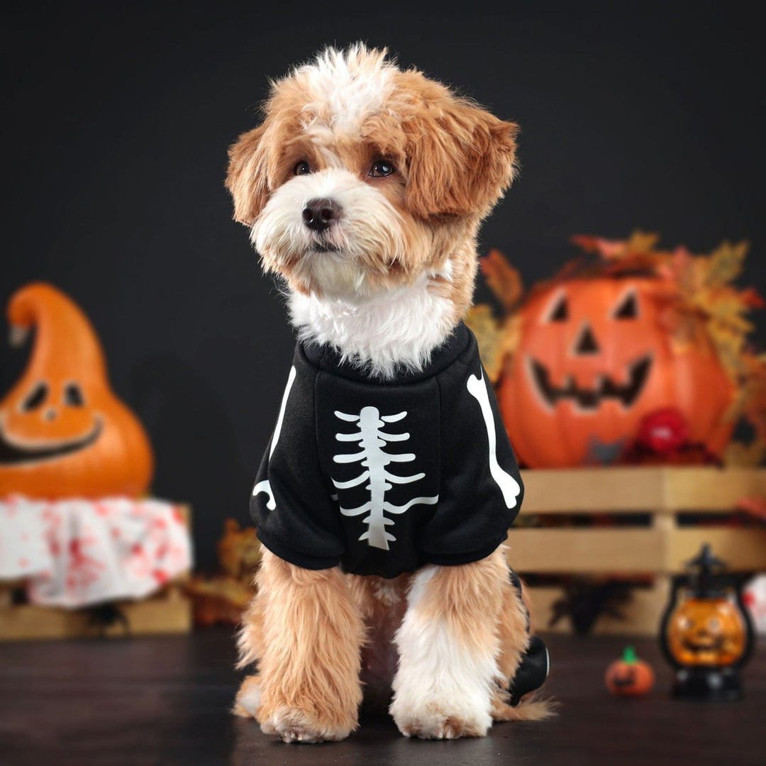 Skeleton Luminous Pet Costume Jumpsuit for Small Medium Dogs Funny Halloween Clothes Apparel Puppy Outfit Cosplay Prop Image 12