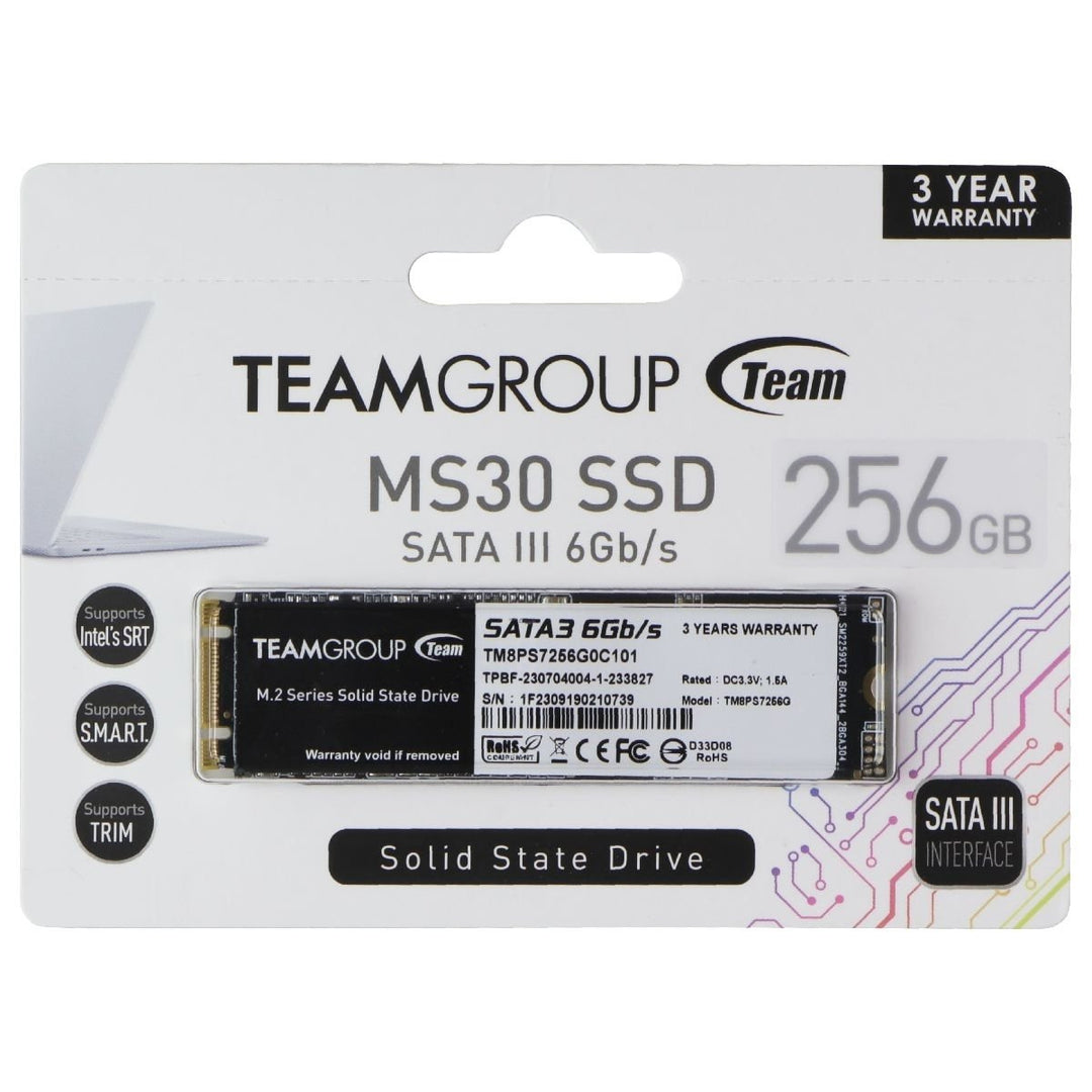 TeamGroup M.2 Solid State Drive - MS30 256GB SSD - SATA III 6GB/s Image 1