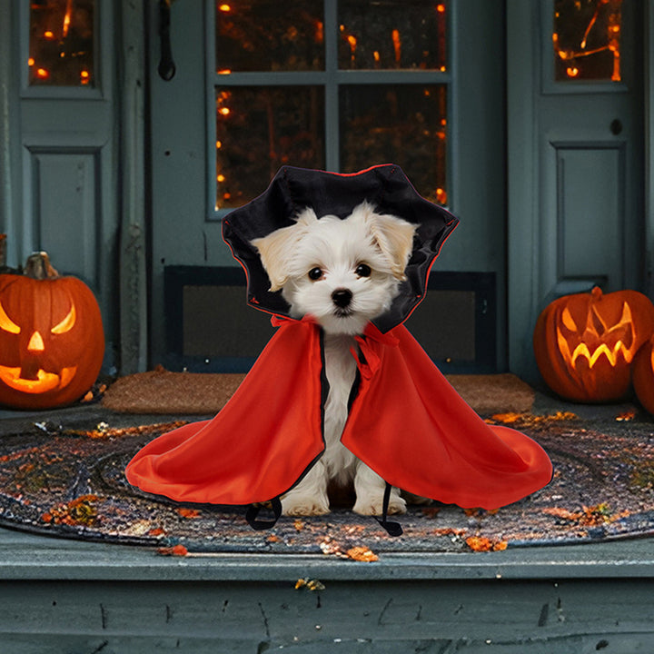 Halloween Pet Cloak Costume Adjustable Soft Witch Cape Festive Party Dress-up Accessory Daily Wear Photo Props for Small Image 1