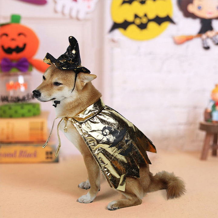 1 Set Pet Witch Cape And Wizard Hat Set Stylish Cats Dogs Halloween Costume for Party Festival Decoration Image 1