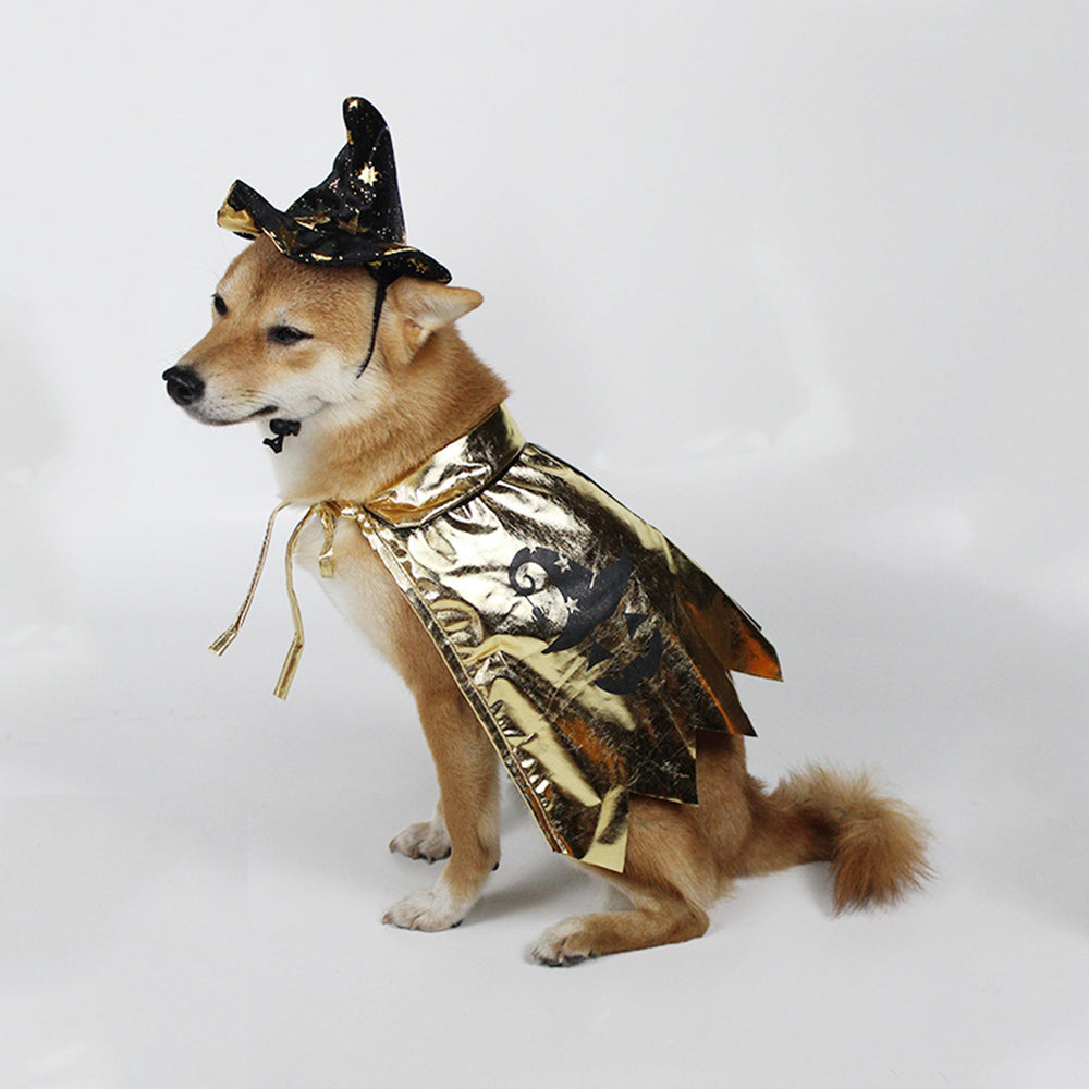 1 Set Pet Witch Cape And Wizard Hat Set Stylish Cats Dogs Halloween Costume for Party Festival Decoration Image 2