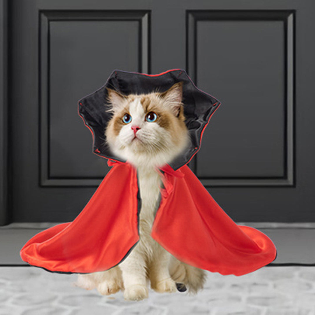 Halloween Pet Cloak Costume Adjustable Soft Witch Cape Festive Party Dress-up Accessory Daily Wear Photo Props for Small Image 7