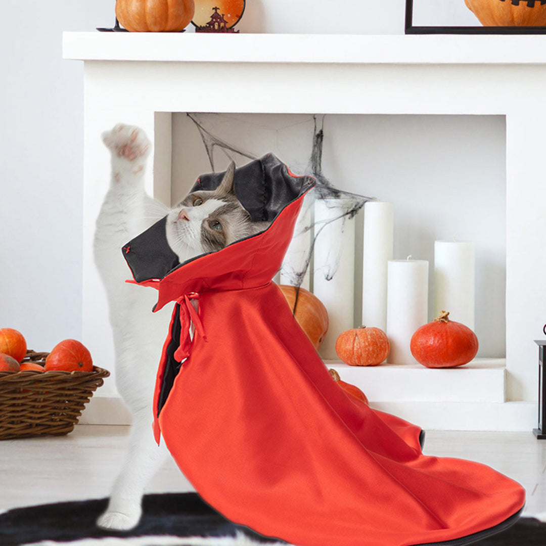 Halloween Pet Cloak Costume Adjustable Soft Witch Cape Festive Party Dress-up Accessory Daily Wear Photo Props for Small Image 8