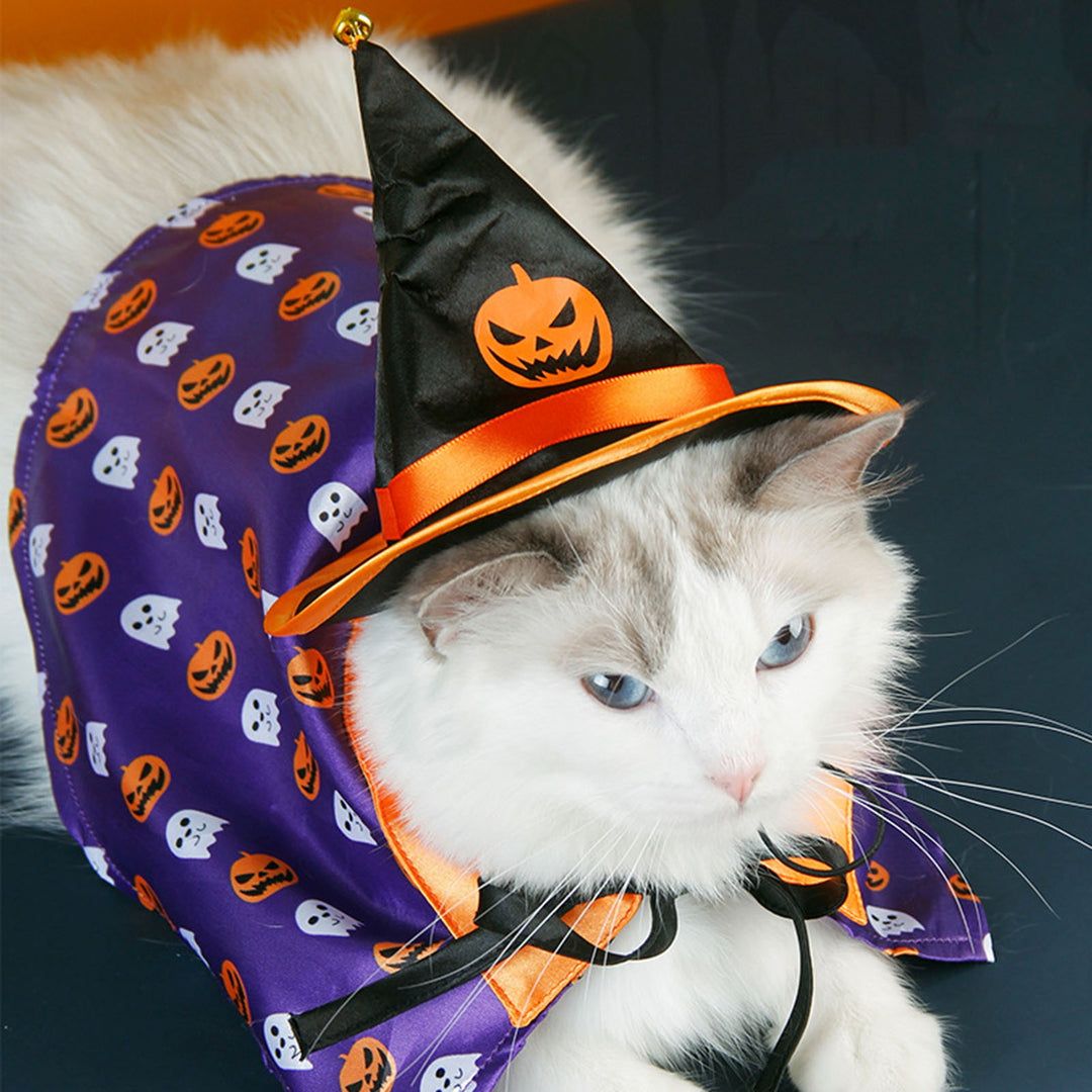 Pet Costume Cat Adjustable Buckle Hat Pumpkin Print Cape Create Atmosphere Cute Pet Transformation Outfit Image 4