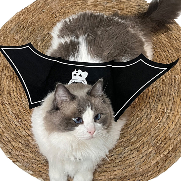 Halloween Pet Bat Wings Costume Adjustable Pet Felt Harness Clothes Halloween Cosplay Party Dress Up Accessory for Cats Image 4