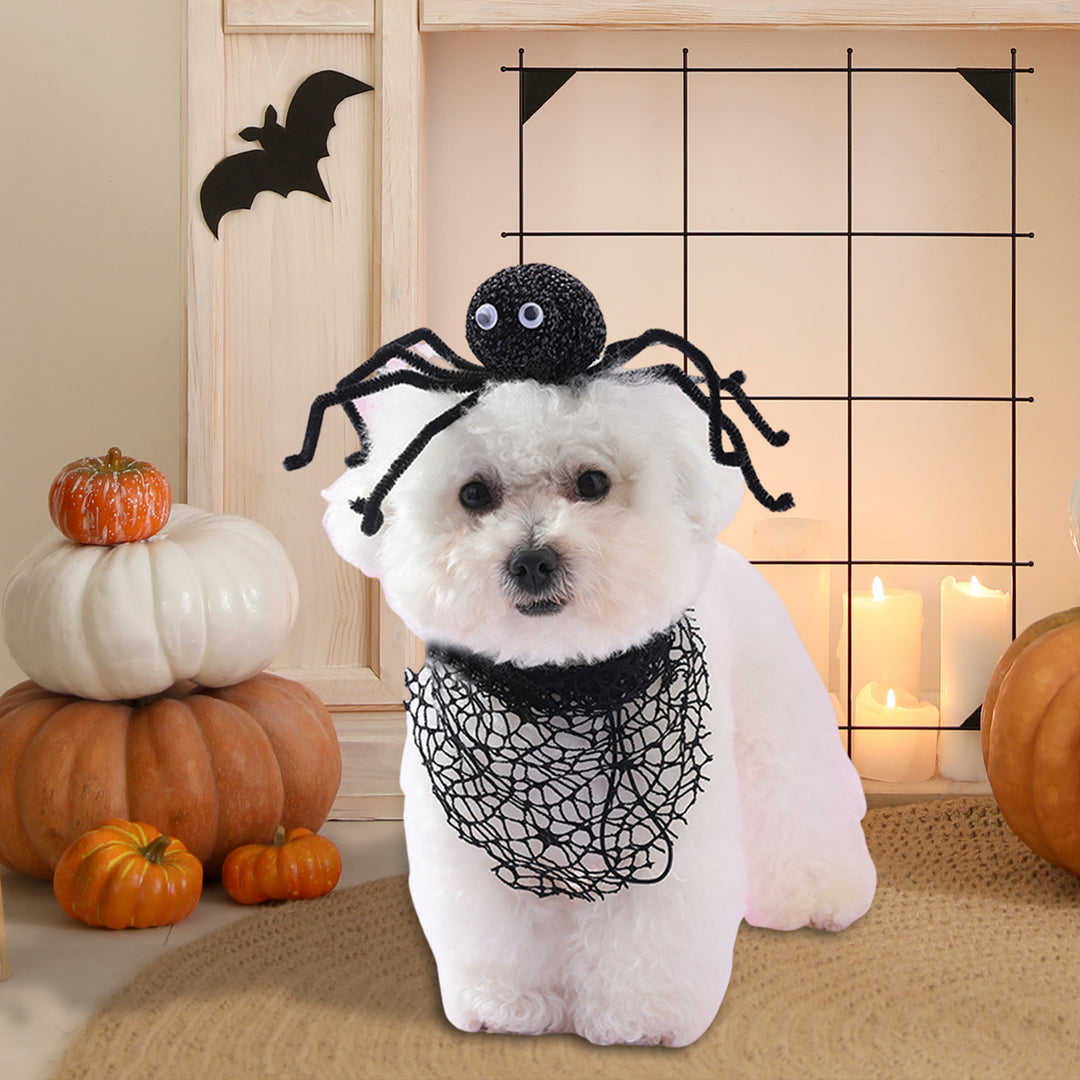 Dog Halloween Hairband Scarf Set Festive Spider Hair Decoration Collar Set Cosplay Costume Pet Accessories for Parties Image 6